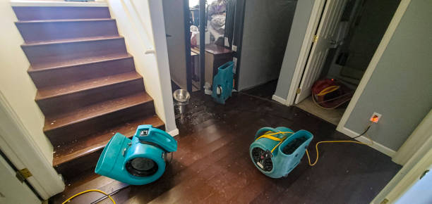 Best Residential water damage restoration  in Monessen, PA