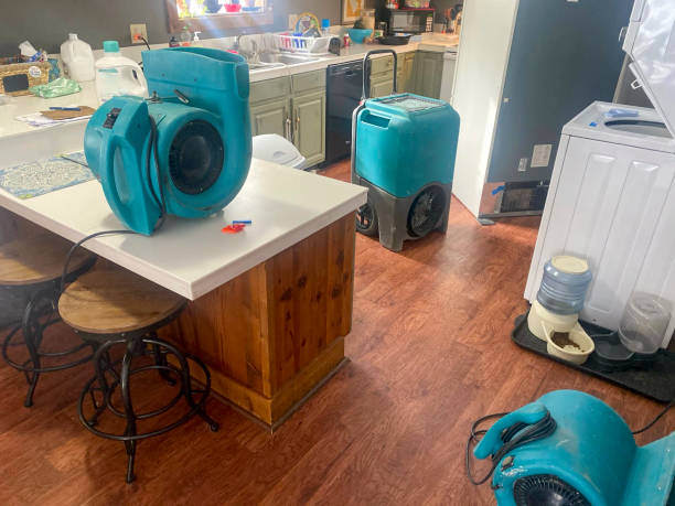Best Sewage cleanup and water damage restoration  in Monessen, PA