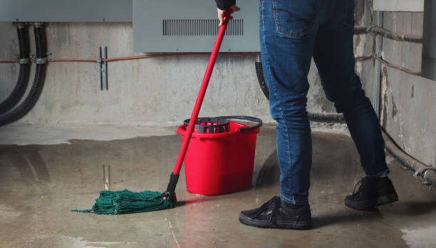 Best 24/7 water damage repair  in Monessen, PA