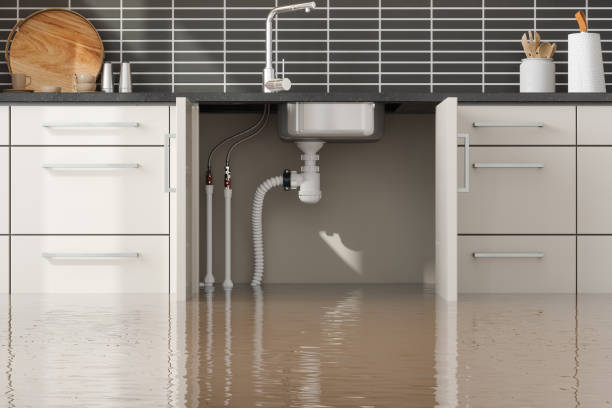 Best Ceiling water damage repair  in Monessen, PA