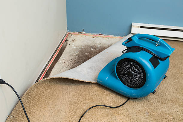 Best Basement water damage restoration  in Monessen, PA
